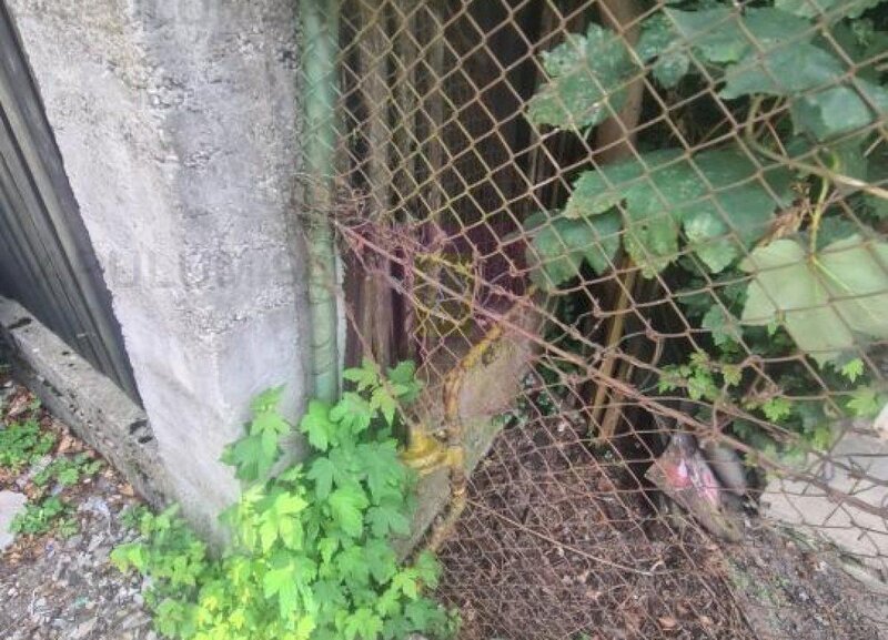 Teren cu constructie de vanzare in Busteni - Zona Lidl